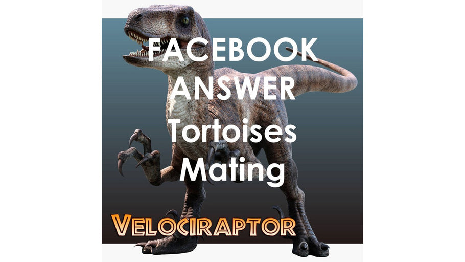 Jurassic Park Raptors